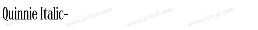 Quinnie Italic字体转换
